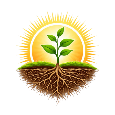CEF Foundation